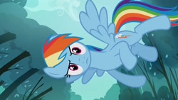 Size: 1920x1080 | Tagged: safe, imported from derpibooru, screencap, rainbow dash, pegasus, pony, sleepless in ponyville, 1080p, female, looking at you, mare, sideways image, solo