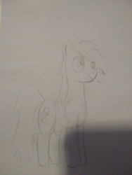 Size: 3072x4096 | Tagged: safe, artist:springlockanon, imported from twibooru, derpy hooves, pegasus, pony, bad lighting, cutie mark, image, photo, png, solo, traditional art, twibooru exclusive, wingless