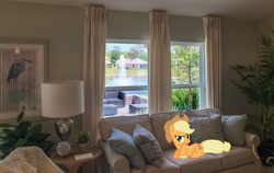 Size: 2048x1292 | Tagged: safe, artist:emper24, artist:jaredking779, edit, imported from derpibooru, applejack, earth pony, pony, couch, cowboy hat, female, florida, hat, irl, jacksonville, lying down, mare, photo, pillow, ponies in real life, prone, raised hoof, solo, stetson