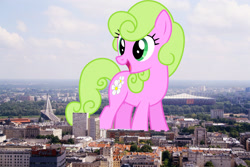 Size: 2048x1365 | Tagged: safe, artist:chainchomp2 edits, artist:jaredking779, edit, imported from derpibooru, daisy, flower wishes, earth pony, pony, background pony, female, giant pony, giant/macro earth pony, giantess, highrise ponies, irl, macro, mare, mega giant, photo, poland, ponies in real life, solo, warsaw