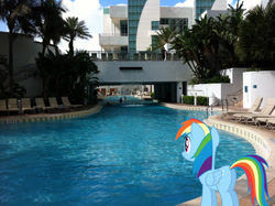 Size: 2048x1530 | Tagged: safe, artist:dashiesparkle, artist:jaredking779, imported from derpibooru, rainbow dash, pegasus, pony, butt, female, florida, hollywood, irl, mare, photo, plot, ponies in real life, smiling, solo, swimming pool, water