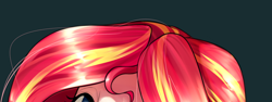 Size: 1180x442 | Tagged: safe, artist:maren, imported from derpibooru, sunset shimmer, human, equestria girls, 2014, bust, cropped, female, hair, old art, portrait, simple background, solo