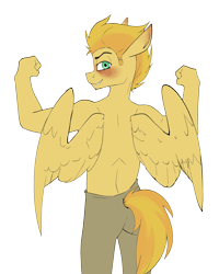 Size: 2412x3011 | Tagged: safe, artist:luxsimx, imported from derpibooru, oc, oc only, oc:radar burst, anthro, pegasus, back, male, simple background, solo, stallion, transparent background