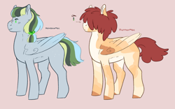 Size: 1280x799 | Tagged: safe, artist:ponymaws, imported from derpibooru, oc, oc only, pegasus, pony, body freckles, coat markings, duo, facial scar, freckles, hair over eyes, half-siblings, nose scar, offspring, parent:big macintosh, parent:fluttershy, parent:rainbow dash, parents:fluttermac, parents:rainbowmac, red background, scar, simple background, wing freckles, wings