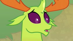 Size: 1920x1080 | Tagged: safe, imported from derpibooru, screencap, thorax, changedling, changeling, season 7, triple threat, 1080p, confused, cute, floppy ears, king thorax, male, open mouth, reaction image, solo, thorabetes