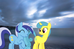 Size: 1600x1067 | Tagged: safe, artist:birthofthepheonix, artist:dashiesparkle, artist:jaredking779, imported from derpibooru, lemon hearts, minuette, pony, unicorn, duo, eyes closed, female, florida, irl, mare, naples, photo, ponies in real life, raised hoof, smiling