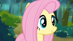 Size: 1920x1080 | Tagged: safe, imported from derpibooru, screencap, fluttershy, pegasus, pony, maud pie (episode), cute, shyabetes, smiling, solo