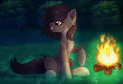 Size: 2500x1696 | Tagged: safe, artist:fluffywhirlpool, imported from derpibooru, oc, oc only, oc:pelmeshka, earth pony, pony, bonfire, brown mane, brown tail, chest fluff, coat markings, commission, dumplings, ear fluff, earth pony oc, eating, female, fire, food, forest, forest background, full body, grass, grass field, looking at something, mare, mouth hold, night, open mouth, pale belly, raised hoof, short mane, sitting, socks (coat markings), solo, spots, tail, tree
