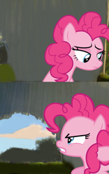 Size: 800x1280 | Tagged: safe, edit, imported from derpibooru, pinkie pie, earth pony, dreamworks, for five minutes, meme, meme template, pinkie pie is not amused, shrek, shrek 2, template, unamused