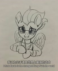 Size: 3024x3714 | Tagged: safe, artist:爱画画的刀刀, imported from derpibooru, rainbow dash, pegasus, pony, the last problem, glasses, japan, japanese, kung fu, looking at you, smiling, smiling at you, solo, traditional art