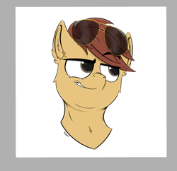 Size: 792x767 | Tagged: safe, artist:rapid9, imported from derpibooru, oc, oc only, oc:comet thunder, earth pony, pony, aviator sunglasses, bust, commission, grin, male, portrait, smiling, smug, solo, sunglasses, ych result