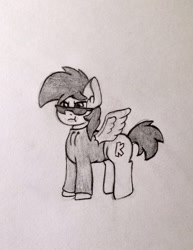 Size: 640x830 | Tagged: safe, artist:anonymous, imported from derpibooru, oc, oc only, oc:ackie, pegasus, pony, clothes, hoodie, solo, sunglasses, traditional art, wings