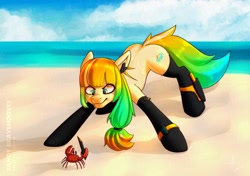 Size: 1638x1156 | Tagged: safe, artist:izalith_itxi, imported from derpibooru, oc, oc only, crab, earth pony, pony, beach, cloud, looking at something, ocean, solo, water