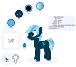 Size: 4213x3719 | Tagged: safe, artist:mrkm, derpibooru exclusive, imported from derpibooru, oc, oc only, oc:azure moon(mrkm), pegasus, pony, female, female symbol, filly, foal, folded wings, freckles, full body, pegasus oc, question mark, reference sheet, simple background, size comparison, smiling, solo, transparent background, unshorn fetlocks, wings