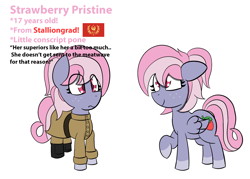 Size: 2100x1500 | Tagged: safe, artist:sapphireponipone, imported from derpibooru, oc, oc:strawberry pristine, pegasus, equestria at war mod, clothes, female, flag, freckles, mare, pegasus oc, reference sheet, simple background, solo, stalliongrad, standing, uniform, white background