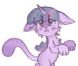 Size: 553x472 | Tagged: safe, artist:bloommoonbeam, imported from derpibooru, twilight sparkle, cat, unicorn, blushing, catified, cheek fluff, chest fluff, floppy ears, frown, paws, simple background, solo, species swap, twilight cat, white background