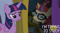 Size: 1280x720 | Tagged: safe, edit, edited screencap, editor:quoterific, imported from derpibooru, screencap, moondancer, twilight sparkle, alicorn, pony, unicorn, amending fences, beads, book, clothes, duo, duo female, female, frown, glasses, gritted teeth, hair beads, looking back, mare, moondancer is not amused, sweater, taped glasses, teeth, twilight sparkle (alicorn), unamused