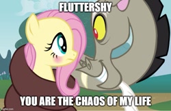 Size: 771x500 | Tagged: artist needed, safe, anonymous artist, edit, edited screencap, imported from derpibooru, screencap, discord, fluttershy, draconequus, pegasus, pony, base used, blushing, caption, coils, discoshy, duo, female, hisscord, image macro, imgflip, looking at each other, looking at someone, male, mare, shipping, shipping fuel, straight, text