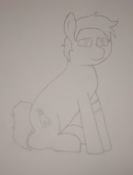 Size: 1679x2214 | Tagged: safe, artist:valuable ashes, imported from derpibooru, oc, oc only, oc:valuable ashes, earth pony, pony, earth pony oc, sitting, solo, traditional art