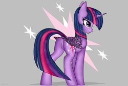 Size: 1024x694 | Tagged: safe, artist:patrykoe, imported from derpibooru, twilight sparkle, alicorn, pony, butt, cutie mark background, dock, female, horn, mare, plot, solo, tail, twilight sparkle (alicorn), wings