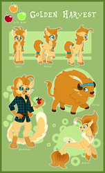 Size: 3100x5100 | Tagged: safe, artist:happy-go-creative, imported from derpibooru, oc, oc only, oc:golden harvest, abyssinian, buffalo, hippogriff, seapony (g4), abyssinian oc, abyssinianized, apple, buffalo oc, buffalofied, cloven hooves, commission, cutie mark, food, hippogriff oc, hippogriffied, reference sheet, seaponified, species swap