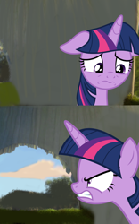 Size: 800x1280 | Tagged: safe, edit, imported from derpibooru, twilight sparkle, alicorn, for five minutes, meme template, shrek, template, twilight sparkle (alicorn)