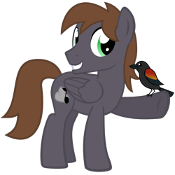 Size: 1200x1200 | Tagged: safe, artist:the smiling pony, imported from derpibooru, oc, oc only, oc:wingbeat, bird, pegasus, pony, derpibooru community collaboration, .svg available, 2023 community collab, blackbird, brown mane, brown tail, folded wings, full body, green eyes, grin, looking at you, male, pegasus oc, show accurate, simple background, smiling, smiling at you, solo, stallion, standing, svg, tail, three quarter view, transparent background, vector, wings