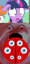 Size: 950x2002 | Tagged: safe, edit, edited screencap, imported from derpibooru, screencap, peppermint goldylinks, twilight sparkle, alicorn, insect, ladybug, pegasus, pony, starlight the hypnotist, spoiler:interseason shorts, bow, coccinellidaephobia, eye, eyes, female, floppy ears, friendship student, hair bow, horn, mare, nightmare fuel, shocked, trypophobia, twilight hates ladybugs, twilight sparkle (alicorn)