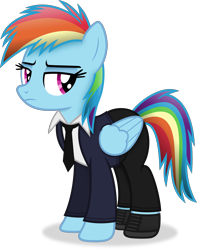Size: 2971x3765 | Tagged: safe, artist:anime-equestria, imported from derpibooru, rainbow dash, pegasus, pony, clothes, female, high res, jewelry, mare, necklace, shoes, simple background, solo, suit, transparent background, vector, wings