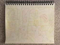 Size: 4032x3024 | Tagged: safe, artist:thor-disciple, apple bloom, diamond tiara, lyra heartstrings, moondancer, moondancer (g1), sunset shimmer, earth pony, pony, unicorn, outdoors