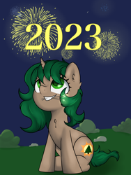 Size: 3000x4000 | Tagged: safe, artist:dumbwoofer, imported from derpibooru, oc, oc:pine shine, pony, unicorn, celebration, chest fluff, ear fluff, female, fireworks, happy new year, high res, holiday, horn, looking up, mare, night, night sky, sky, smiling, solo, unicorn oc