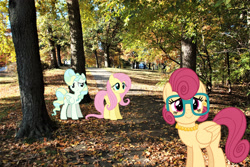 Size: 2048x1371 | Tagged: safe, imported from derpibooru, fluttershy, posey shy, vapor trail, pegasus, pony, female, folded wings, glasses, irl, jewelry, mare, necklace, pearl necklace, photo, ponies in real life, providence, rhode island, story included, trio, wings