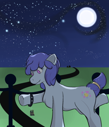 Size: 1106x1280 | Tagged: safe, artist:planetarium, imported from derpibooru, oc, oc only, oc:stilbruch tingle, earth pony, pony, accessory, detailed background, earth pony oc, happy, moon, pink eyes, purple hair, purple mane, quadrupedal, raised arm, raised leg, short hair, short mane, short tail, smiling, solo, standing, stars, tail, ticket
