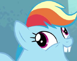 Size: 464x368 | Tagged: safe, edit, edited screencap, imported from derpibooru, screencap, rainbow dash, pegasus, pony, newbie dash, season 6, bucktooth, cropped, derp, faic, forthright filly, g4, rainbow dash is best facemaker, smiling, solo