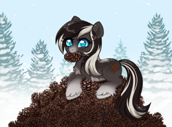 Size: 2751x2040 | Tagged: safe, artist:confetticakez, imported from derpibooru, oc, oc only, oc:pine ponder, pony, chest fluff, cute, female, fluffy, forest, hoard, mare, mouth hold, pale belly, pinecone, snow, snowpony (species), socks (coat marking), solo, taiga pony, unshorn fetlocks, winter, yakutian horse