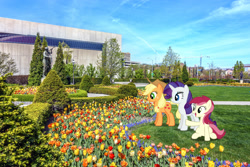 Size: 2048x1365 | Tagged: safe, imported from derpibooru, applejack, rarity, roseluck, earth pony, pony, unicorn, cowboy hat, des moines, female, flower, garden, hat, iowa, irl, mare, photo, ponies in real life, stetson, tulip