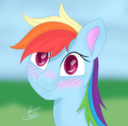 Size: 2560x2527 | Tagged: safe, artist:fa11en, imported from derpibooru, rainbow dash, pegasus, pony, blushing, bust, female, grass, grass field, high res, mare, signature, sky, smiling, solo
