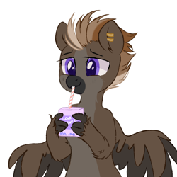 Size: 1000x1000 | Tagged: safe, artist:thieftea, imported from derpibooru, oc, oc only, oc:aeto, hippogriff, beak, claws, colored belly, drinking, drinking straw, ear piercing, fluffy, hippogriff oc, mohawk, pale belly, piercing, purple eyes, simple background, solo, white background, wings