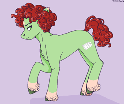 Size: 866x727 | Tagged: safe, artist:violetpony11, imported from derpibooru, earth pony, pony, coat markings, crossover, curly hair, kyle broflovski, male, ponified, raised hoof, simple background, slim, socks (coat markings), south park, sternocleidomastoid, tail, thin, unshorn fetlocks