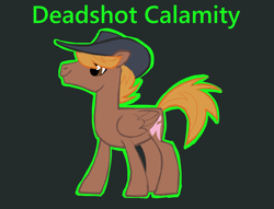 Size: 1690x1290 | Tagged: safe, artist:varwing, imported from derpibooru, oc, oc:calamity, pegasus, pony, fallout equestria, gray background, hat, male, pegasus oc, simple background, solo, stallion