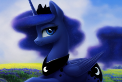 Size: 1920x1280 | Tagged: safe, derpibooru exclusive, editor:dovakkins, imported from derpibooru, princess luna, alicorn, pony, ai content, ai generated, beautiful, crown, ethereal mane, ethereal tail, female, field, galaxy mane, generator:stable diffusion, jewelry, looking at you, mare, peytral, regalia, smiling, smiling at you, solo, tail