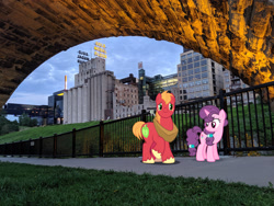 Size: 2048x1536 | Tagged: safe, artist:ambassad0r, artist:dashiesparkle, imported from derpibooru, big macintosh, sugar belle, earth pony, pony, unicorn, female, irl, male, mare, minneapolis, minnesota, photo, ponies in real life, shipping, stallion, straight, sugarmac