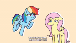 Size: 1920x1080 | Tagged: safe, artist:makaryo, artist:punkittdev, artist:scrill0w, imported from derpibooru, applejack, fluttershy, rainbow dash, pegasus, pony, semi-anthro, absurd file size, animated, apple, chair, dancing, dialogue, duo focus, faic, female, food, horsecomix, ketchup, mare, monster energy, refrigerator, sauce, seizure warning, sleeping bag, sound, subtitles, suddenly hands, television, the golden girls, thinking, voice acting, webm