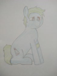 Size: 3120x4160 | Tagged: safe, artist:valuable ashes, imported from derpibooru, oc, oc only, earth pony, pony, arm band, earth pony oc, solo, traditional art