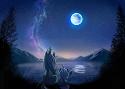 Size: 1280x905 | Tagged: safe, artist:skyeypony, imported from derpibooru, queen chrysalis, oc, changeling, changeling queen, changeling oc, duo, lake, moon, night, scenery, scenery porn, shooting star, sitting, stars, water