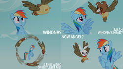 Size: 2000x1125 | Tagged: safe, edit, edited screencap, editor:quoterific, imported from derpibooru, screencap, angel bunny, owlowiscious, rainbow dash, winona, bird, dog, owl, pegasus, pony, rabbit, may the best pet win, :o, animal, circle, cloud, confused, dream, female, flying, fusion, male, mare, open mouth, open smile, sky, smiling, spread wings, wings