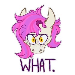 Size: 1000x1000 | Tagged: safe, artist:molars, imported from derpibooru, oc, oc:molars, digital art, emote, head only, looking at you, ponysona, reaction image, simple background, solo, text, transparent background, wat