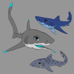 Size: 1280x1280 | Tagged: safe, artist:stray prey, imported from derpibooru, oc, oc only, oc:lacera viscera, oc:mako, oc:spring tide, shark, sharkified, species swap