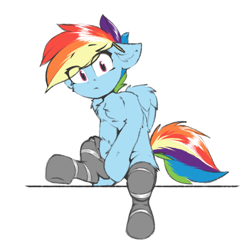 Size: 1200x1200 | Tagged: safe, artist:deafjaeger, imported from derpibooru, rainbow dash, pegasus, pony, chest fluff, clothes, cute, dashabetes, ear fluff, floppy ears, looking at you, simple background, sitting, socks, solo, surprised, white background, wings