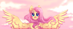 Size: 2497x992 | Tagged: safe, artist:venik, imported from derpibooru, fluttershy, pegasus, pony, cloud, eyebrows, female, full body, looking at you, mare, pink sky, solo, spread wings, teary eyes, wings